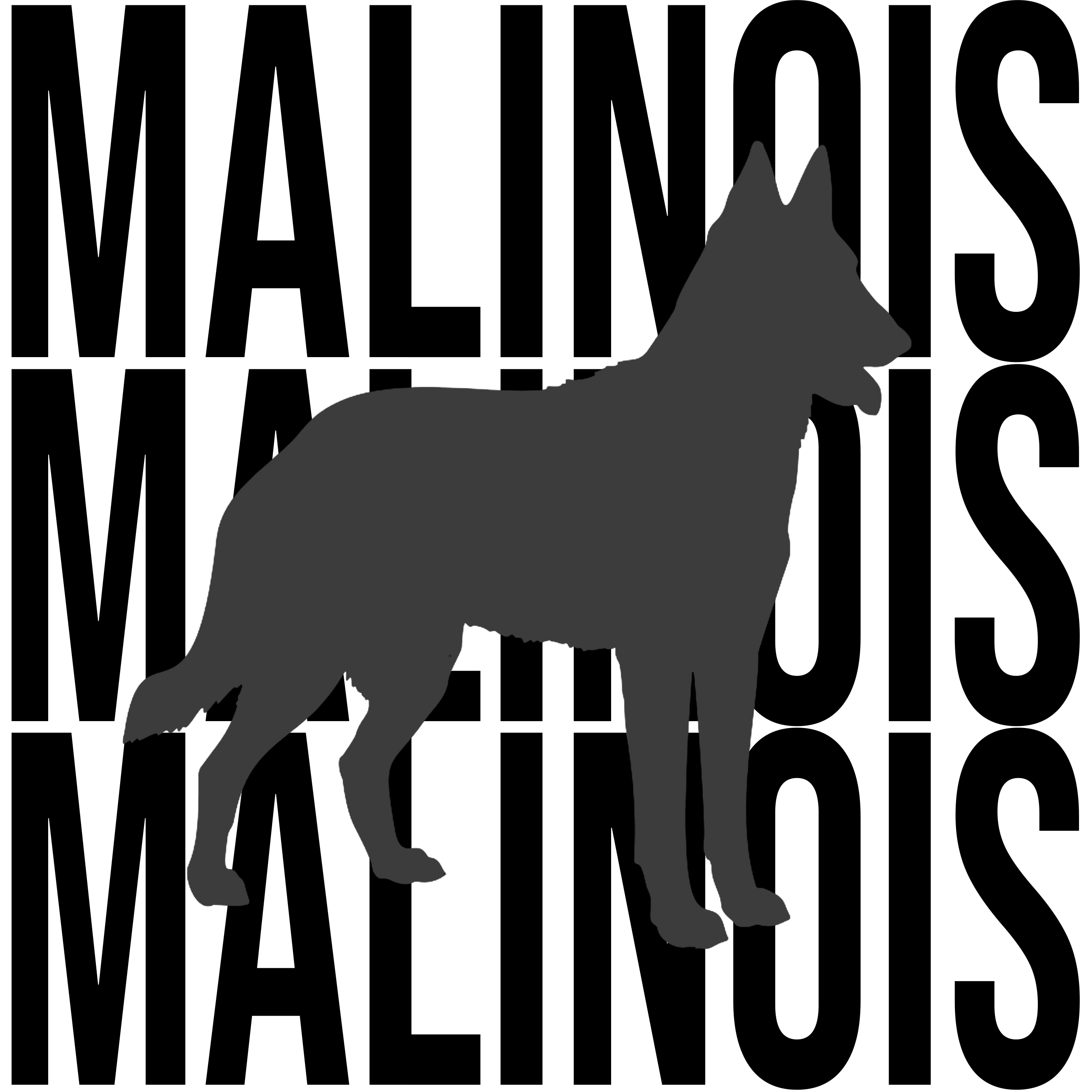 Belgian Malinois Graphics