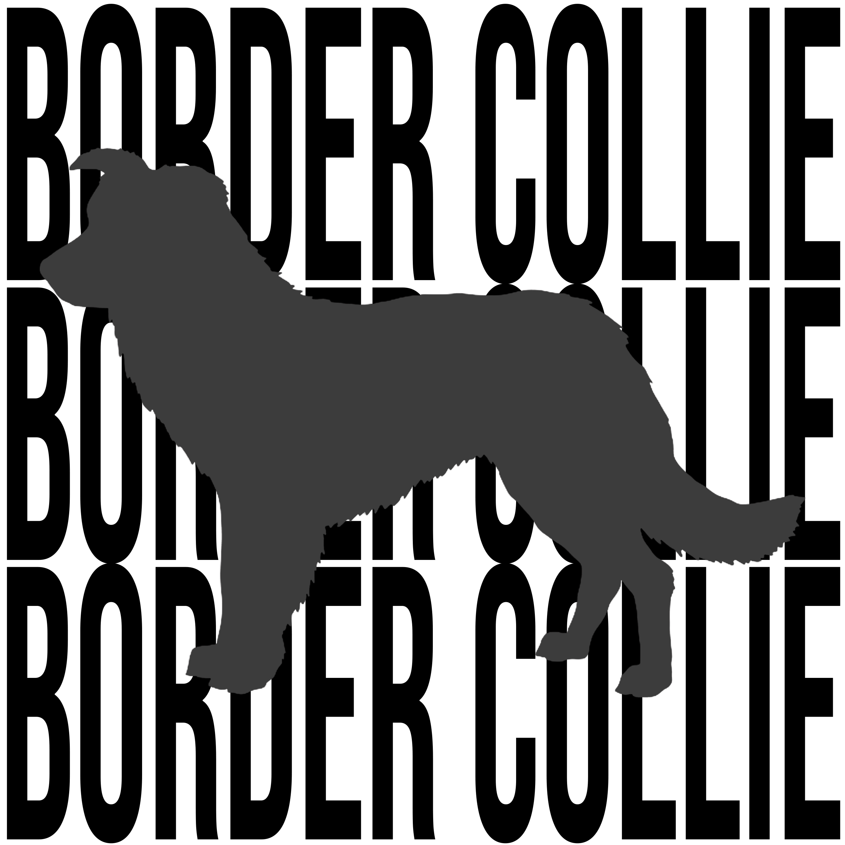 Border Collie Graphics