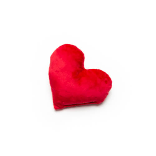Heart Plush Dog Toy