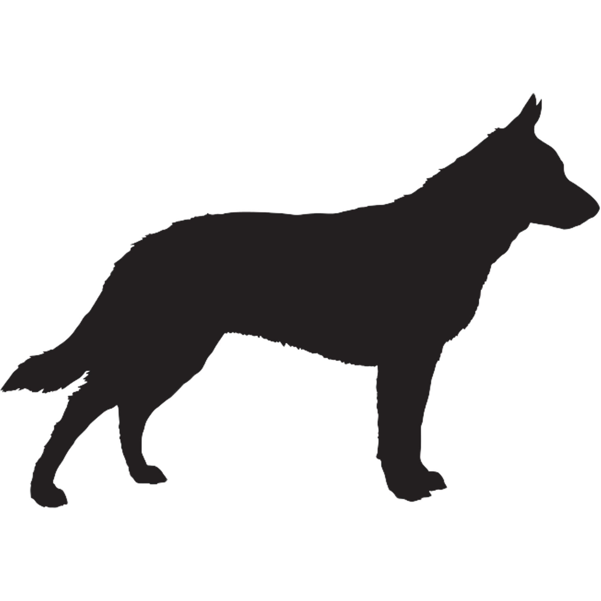 Australian Cattle Dog Graphics