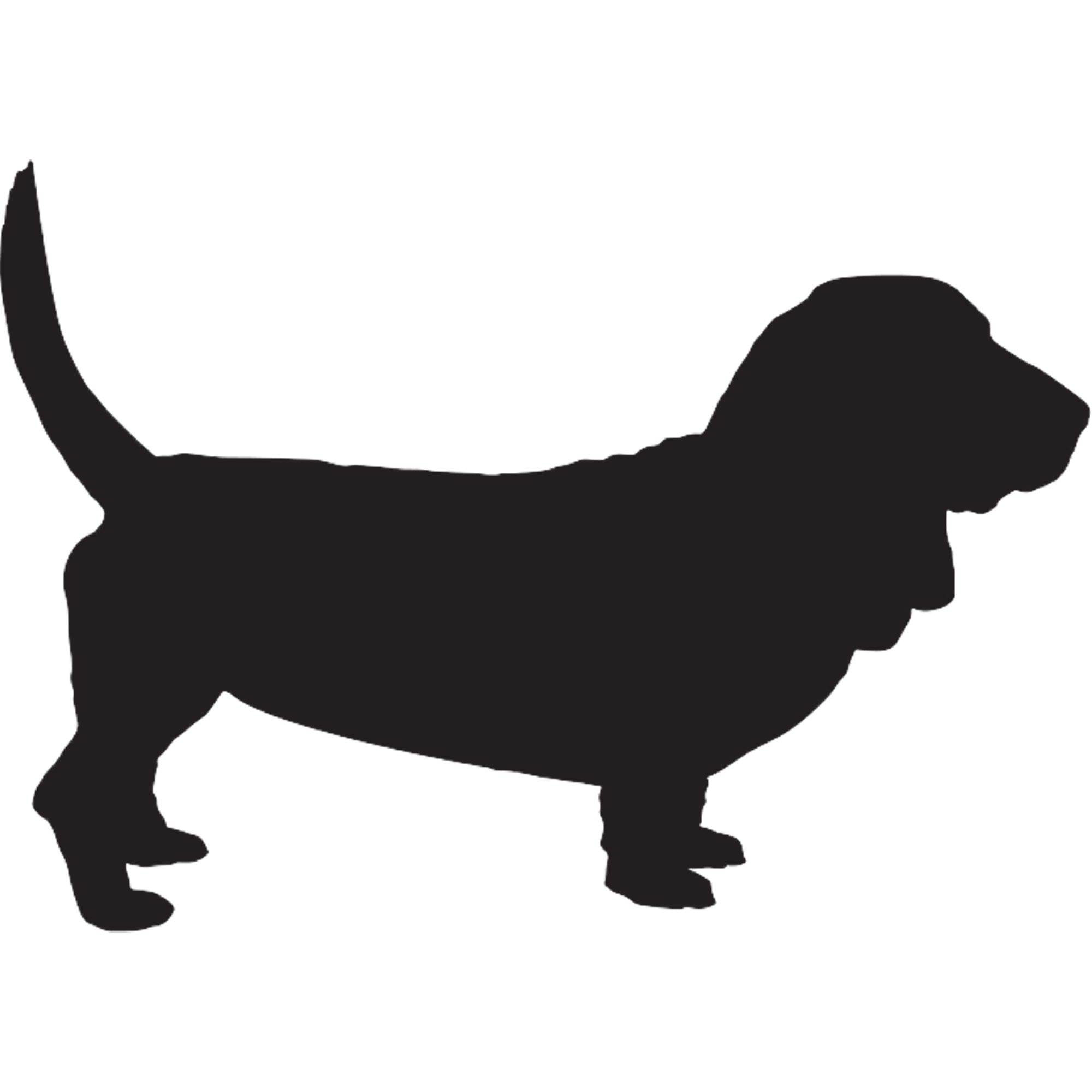 Basset Hound Graphics
