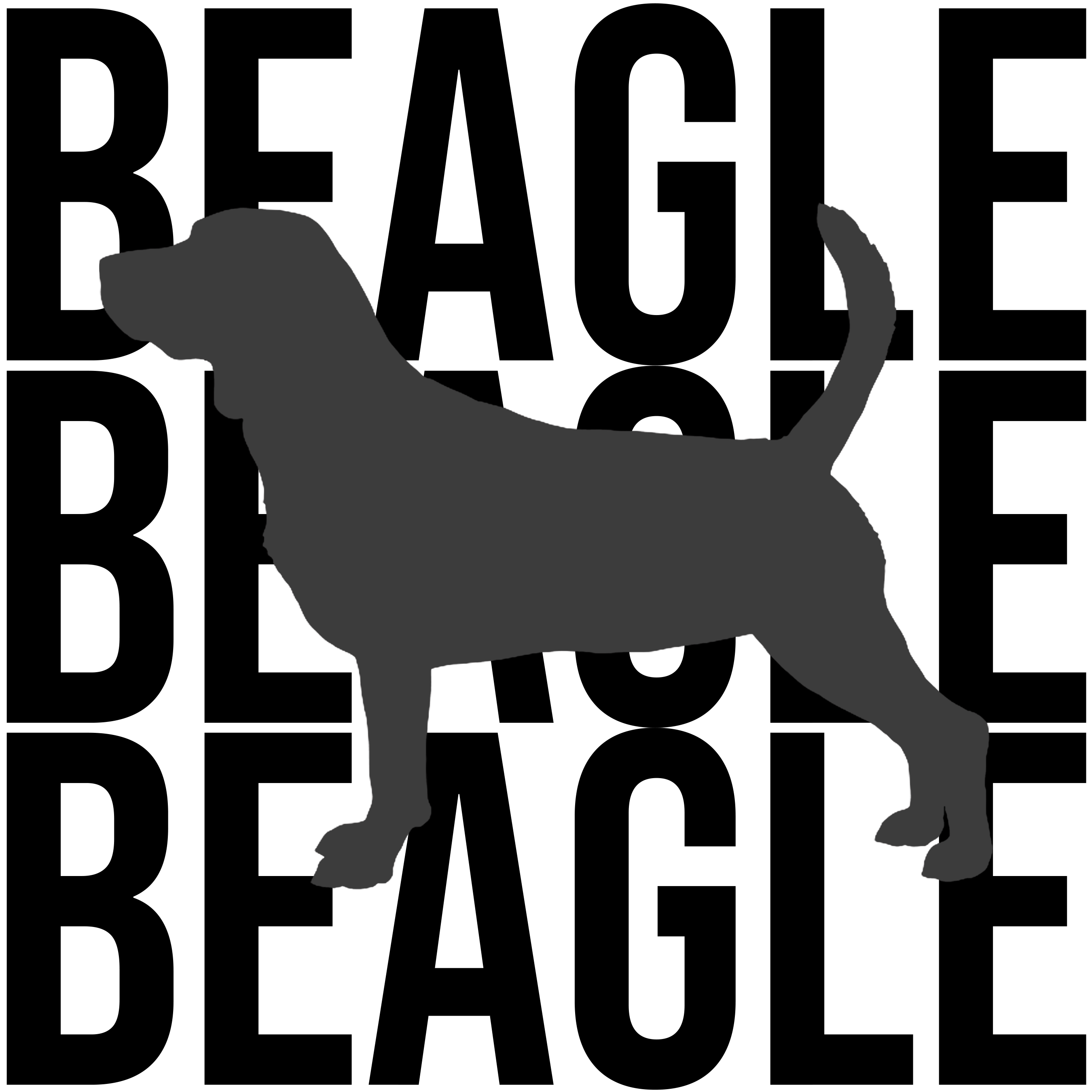 Beagle Graphics