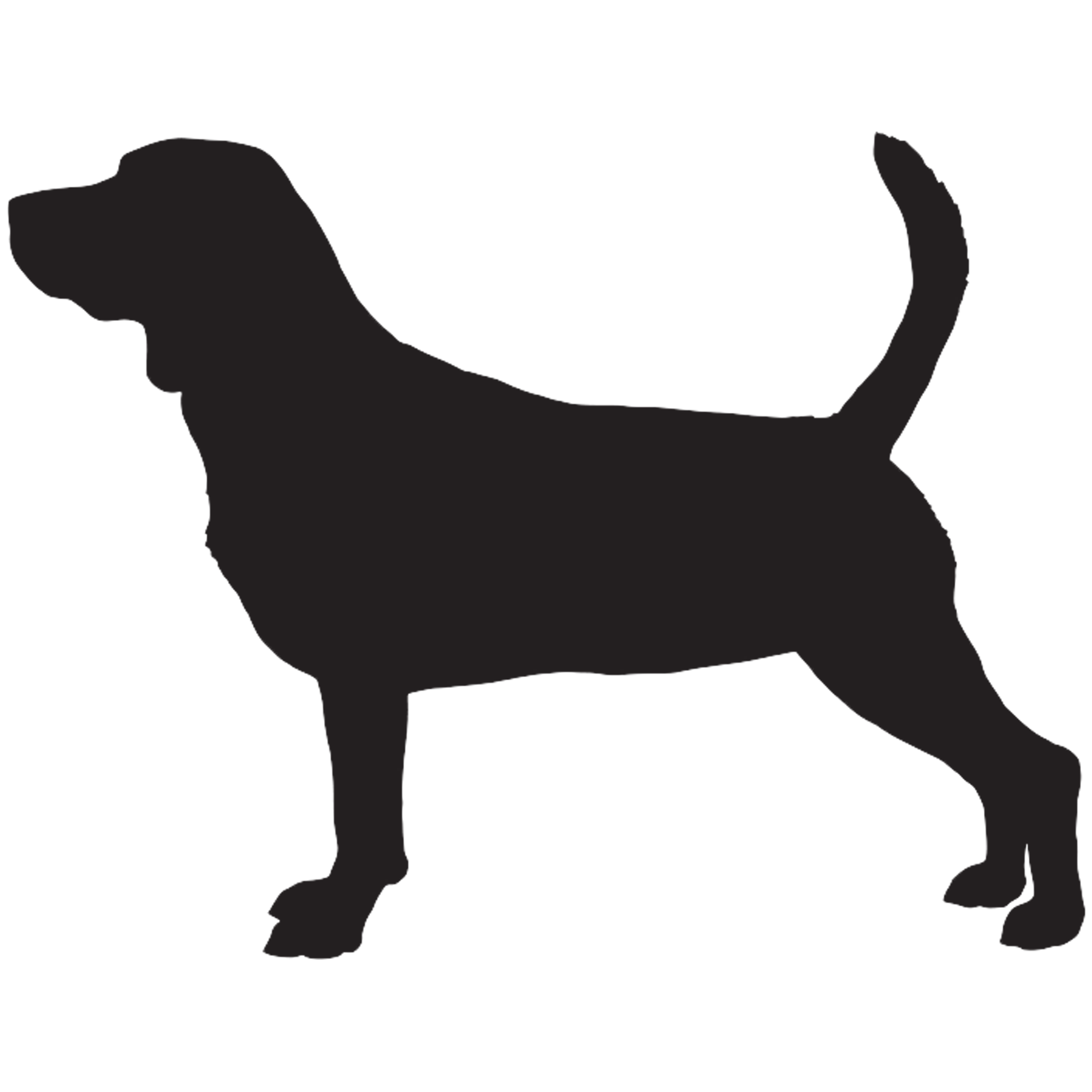 Beagle Graphics