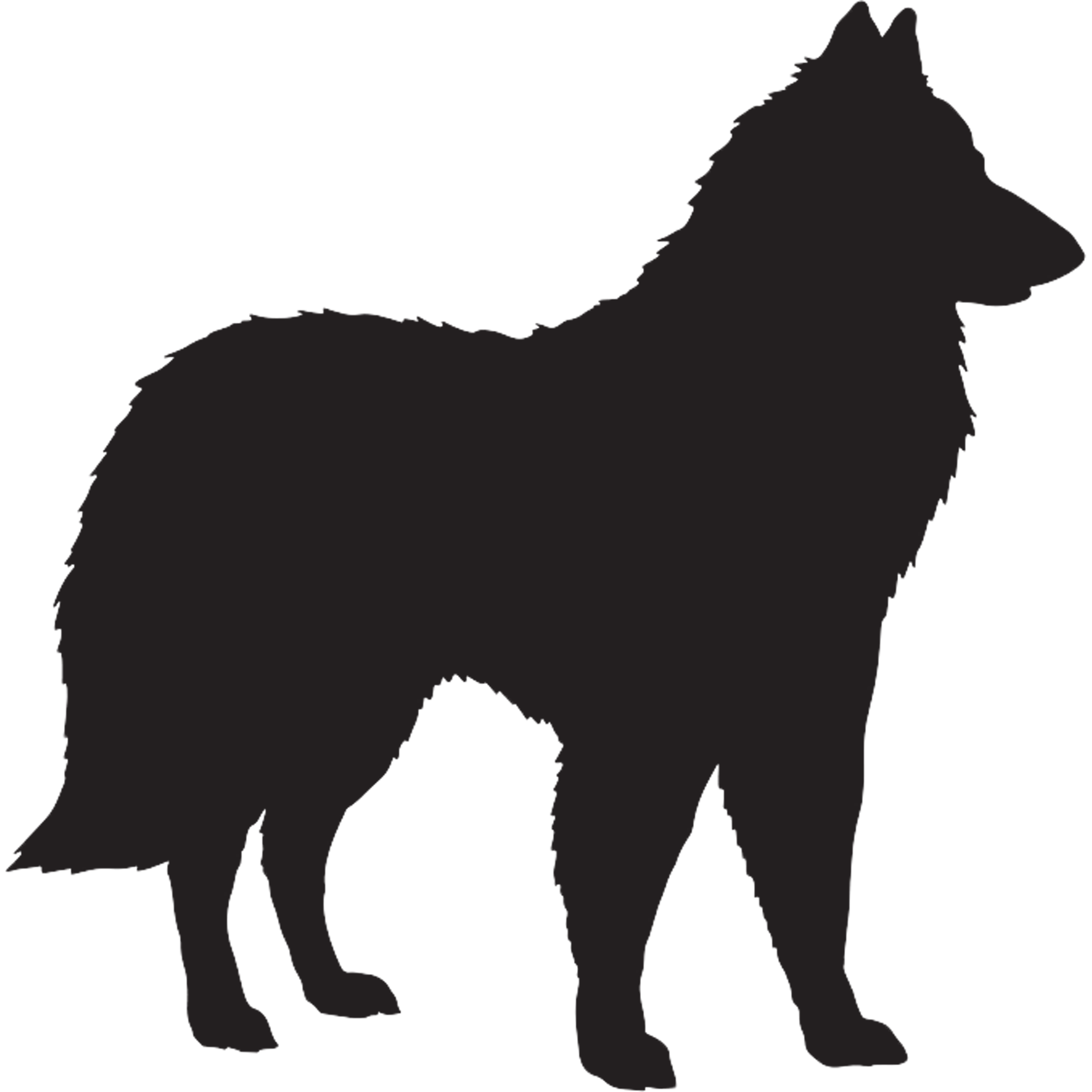 Belgian Tervuren Graphics