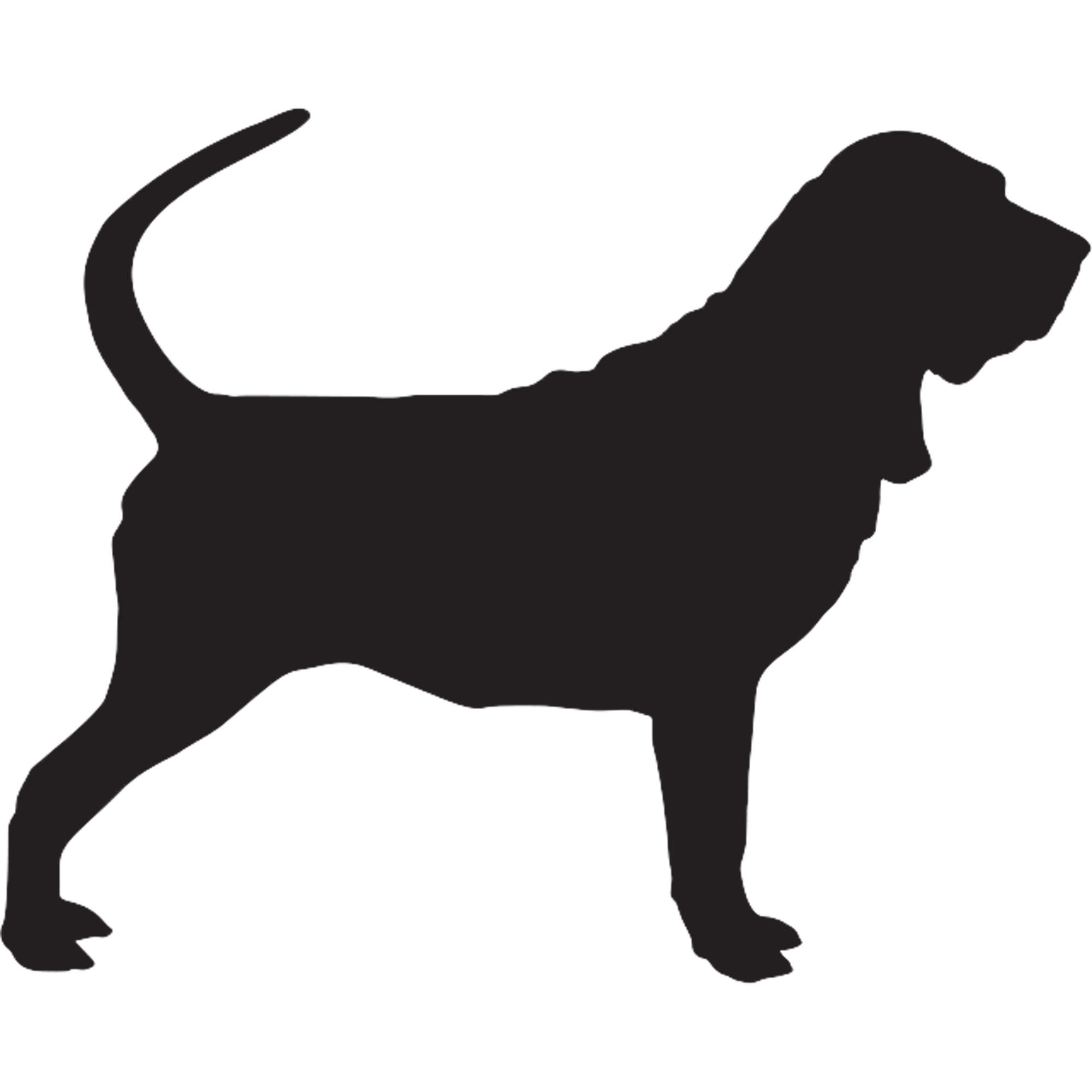 Bloodhound Graphics