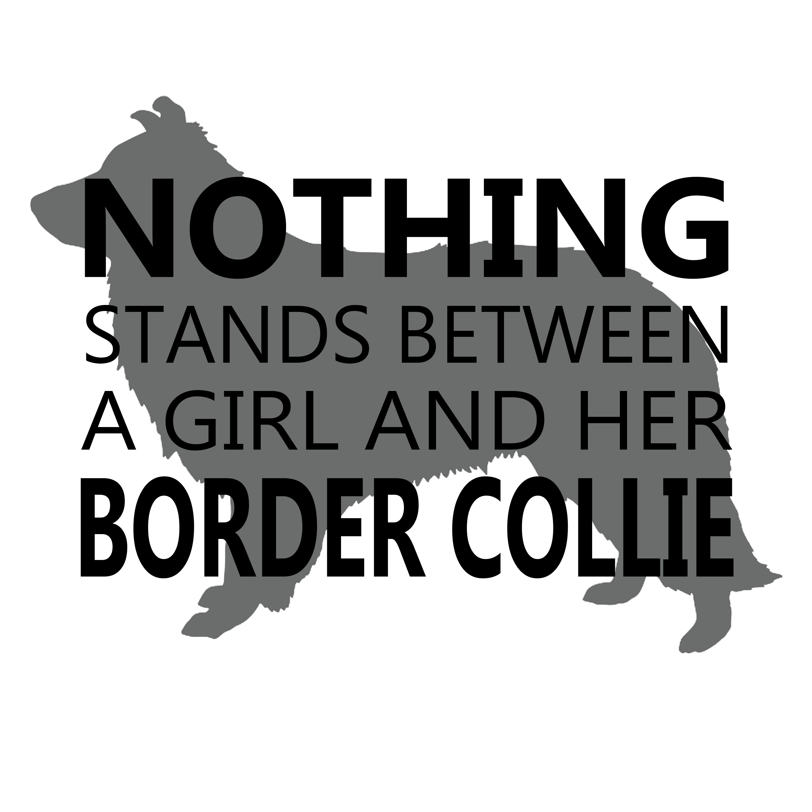 Border Collie Graphics