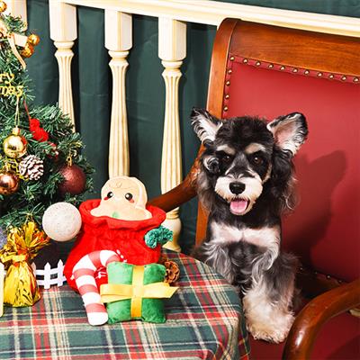 Happy Woofmas — Christmas Gift Bag