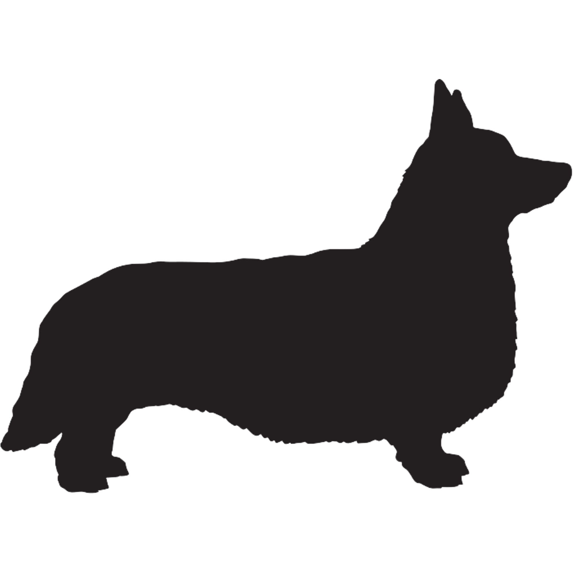 Corgi Graphics