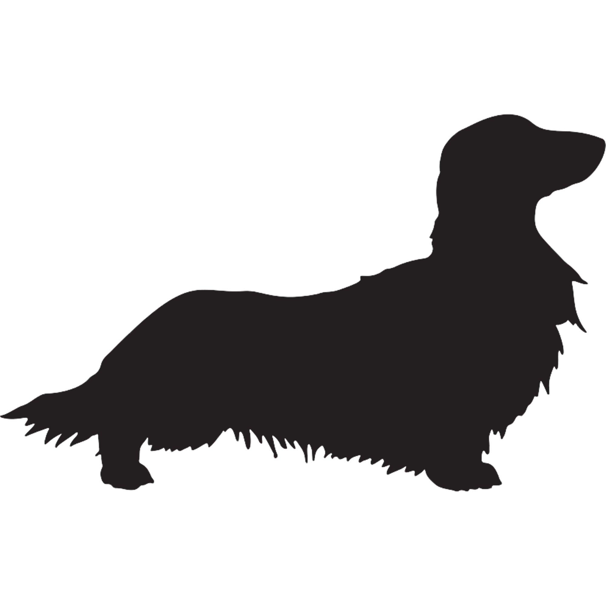 Dachshund Graphics