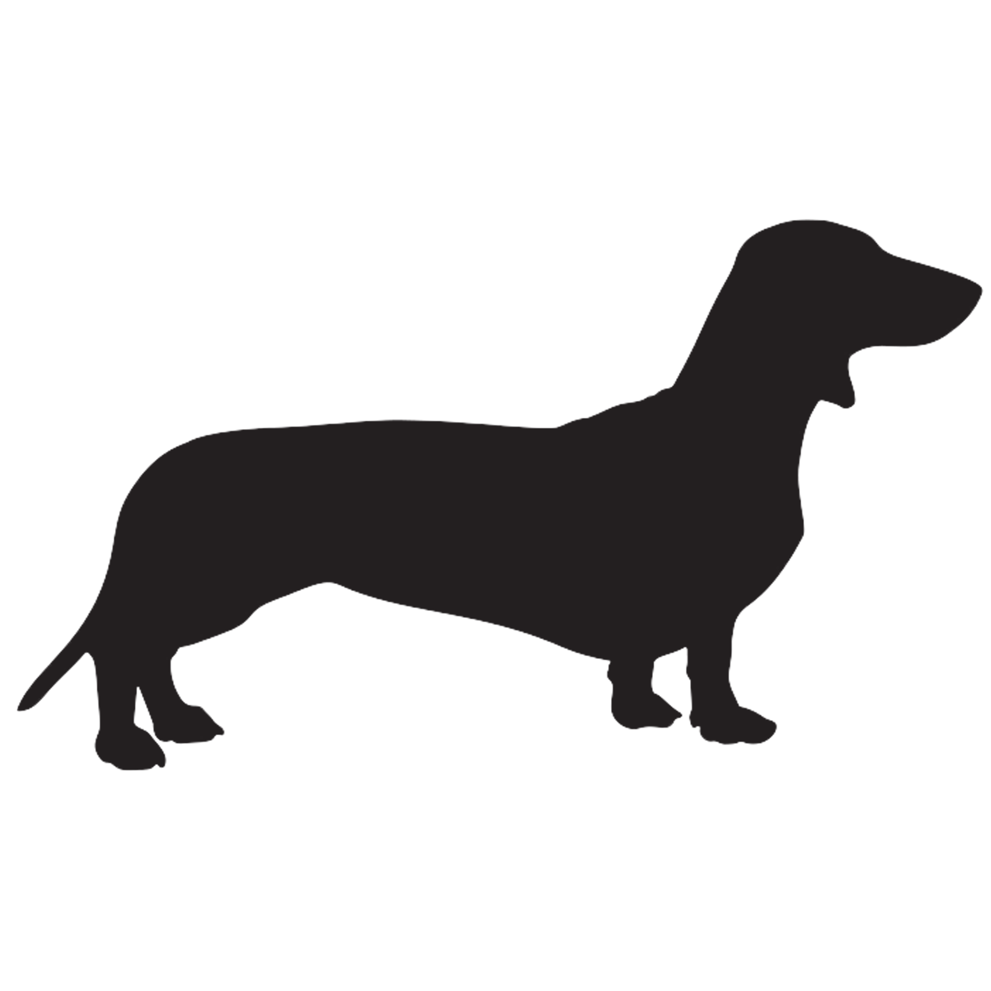 Dachshund Graphics