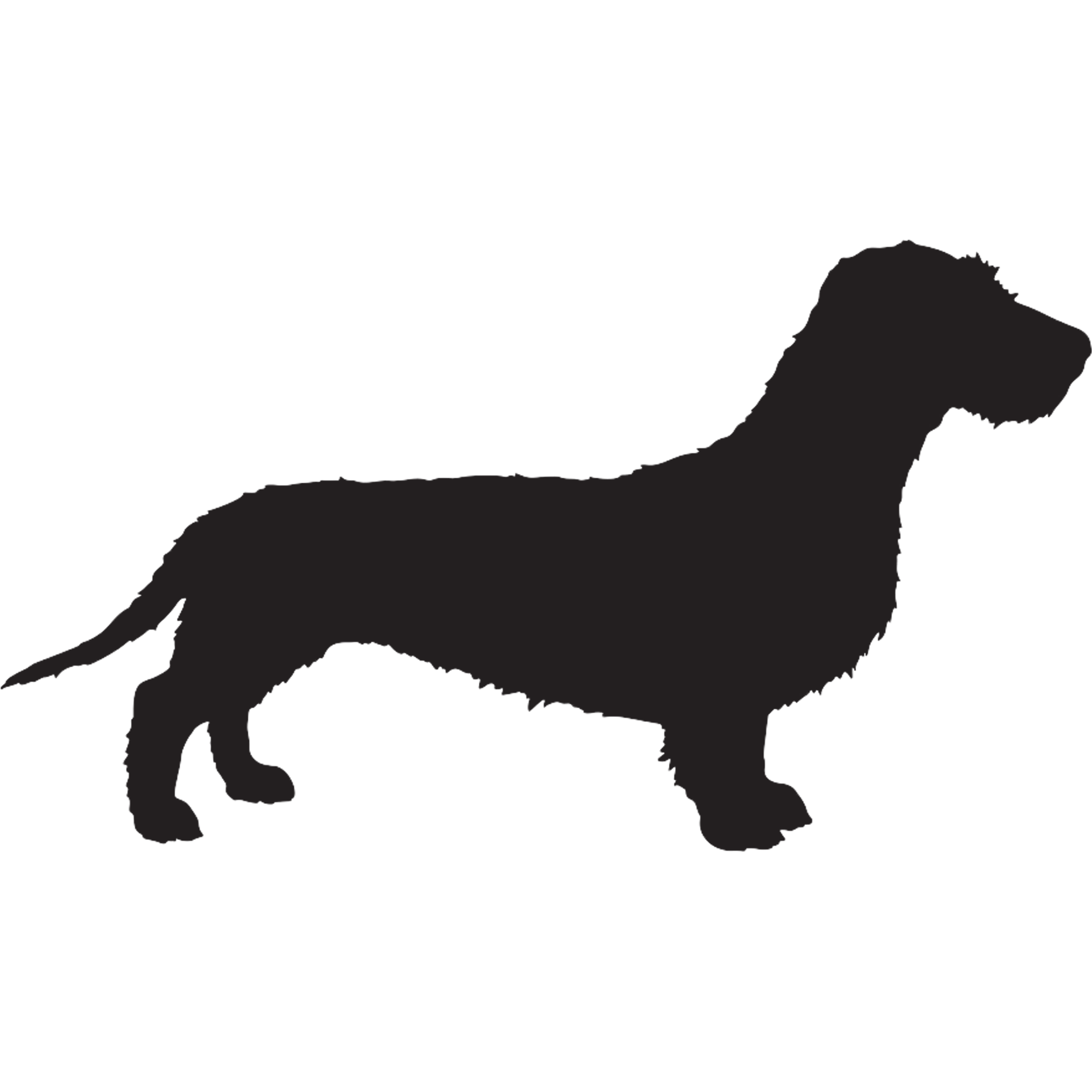 Dachshund Graphics
