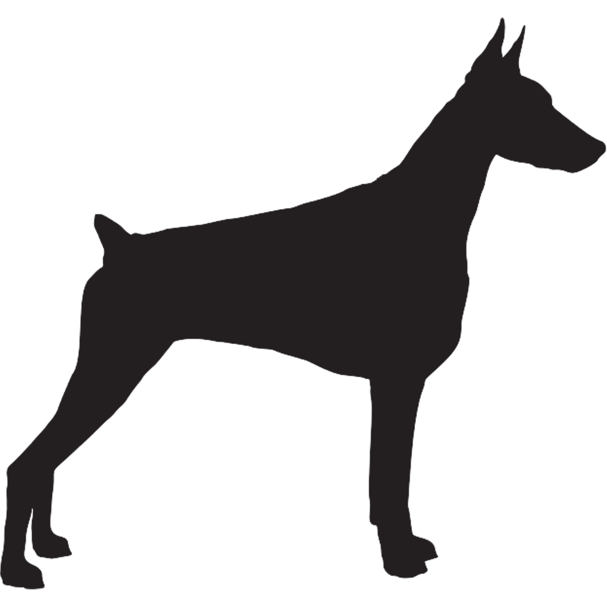 Doberman Pinscher Graphics