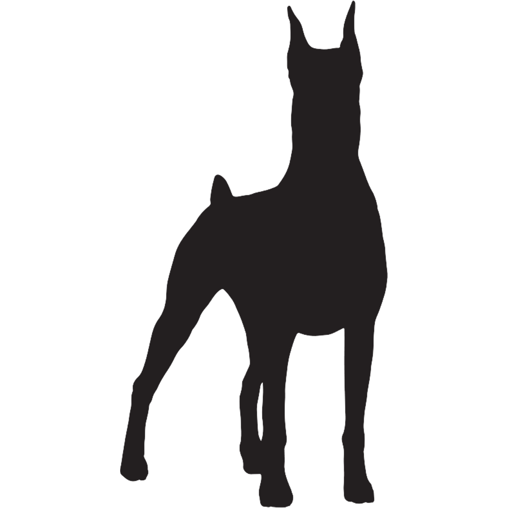 Doberman Pinscher Graphics