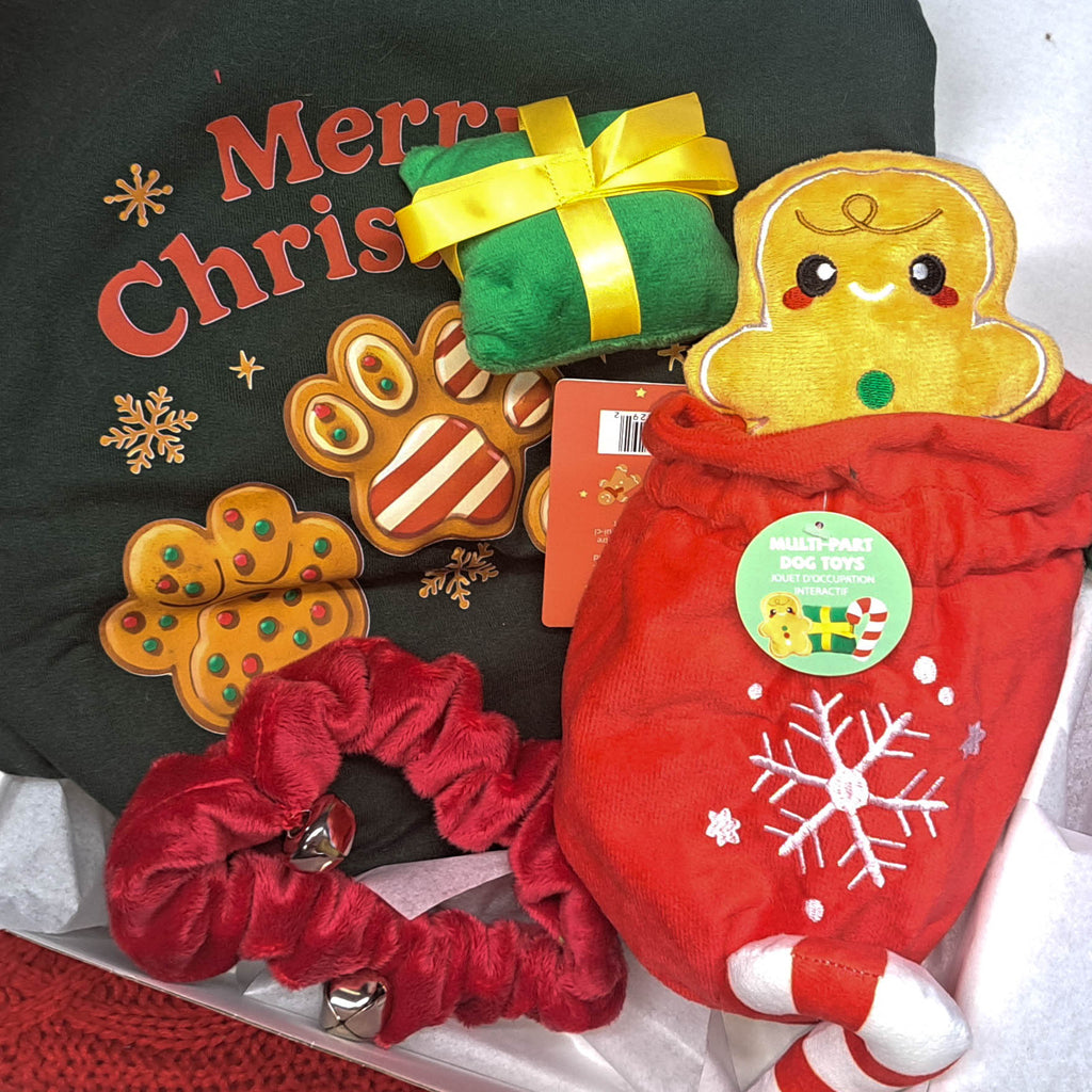 November 2025 Mutts & Moms Box (One Time)