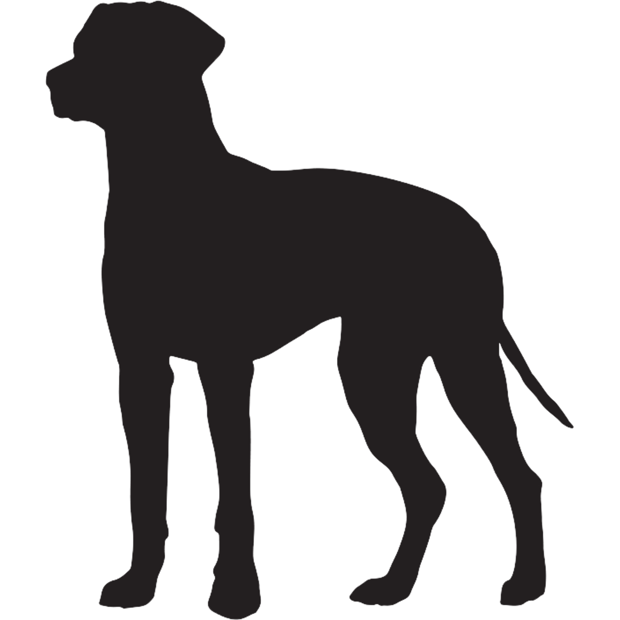 Rhodesian Ridgeback Graphics