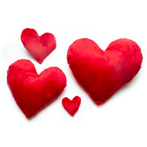 Heart Plush Dog Toy